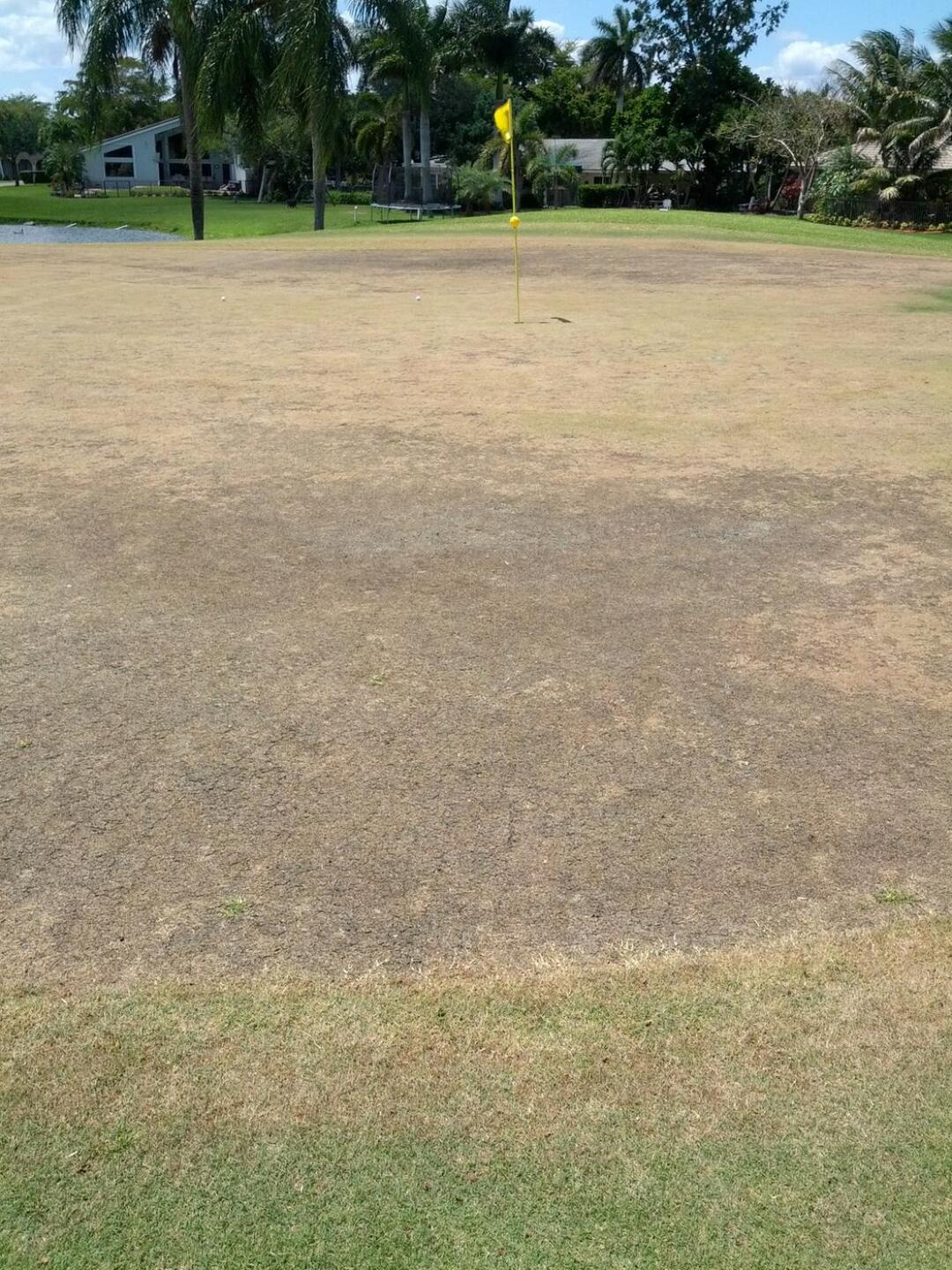 Baked dirt putting surface. :( (Photo submitted by Billyz4 on 05/04/2015)