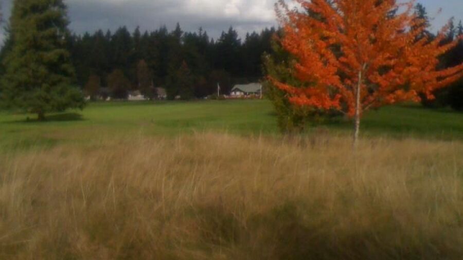 Brookdale GC