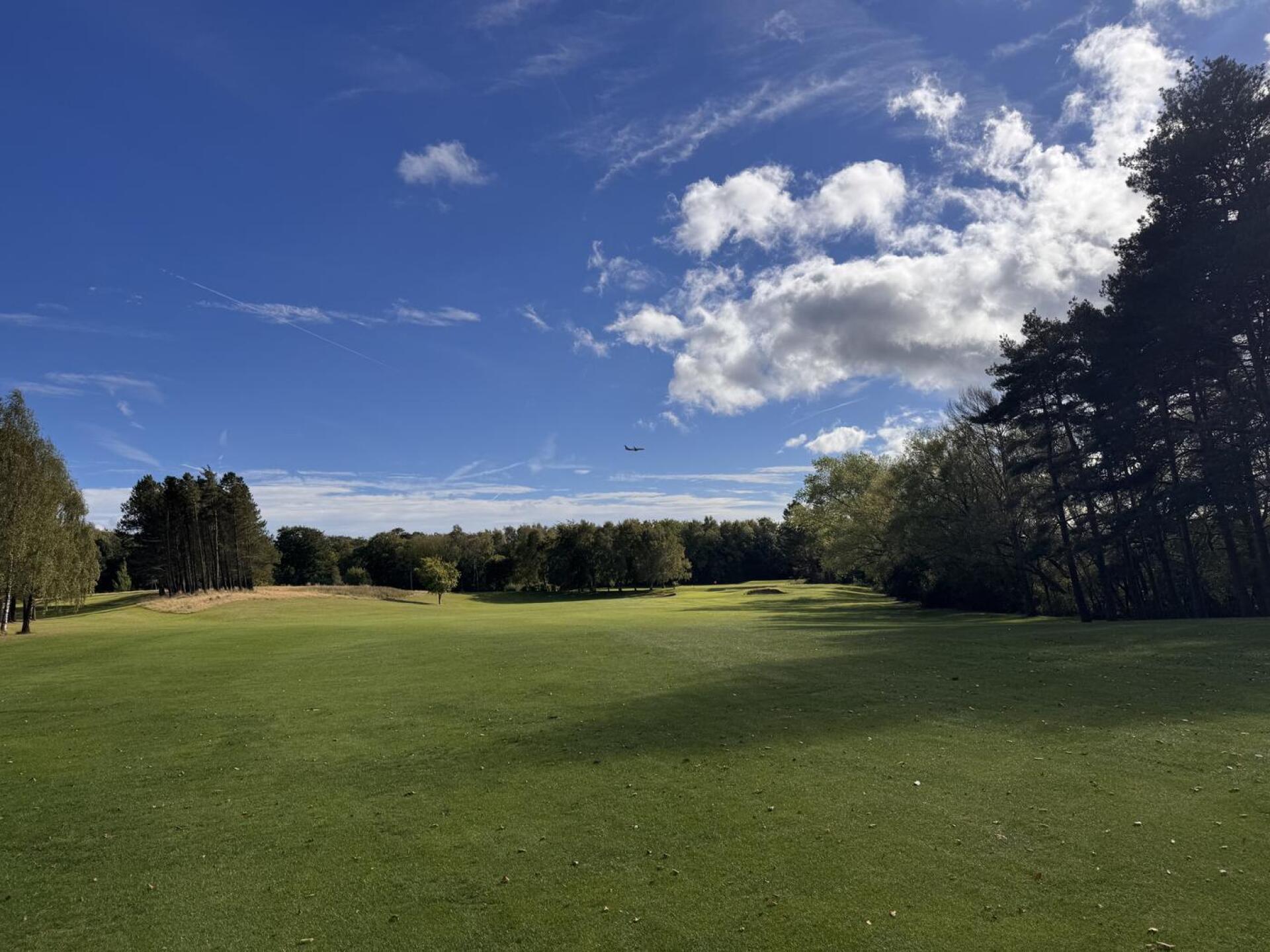 (Photo submitted by u314160520318 on 09/17/2025)