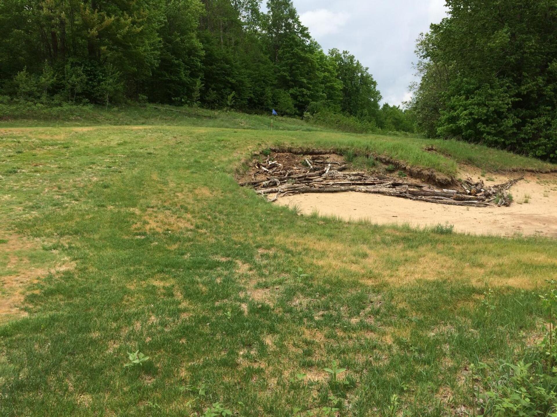 17th a new way to vet a trap (Photo submitted by HOTSPOTTS on 06/12/2018)