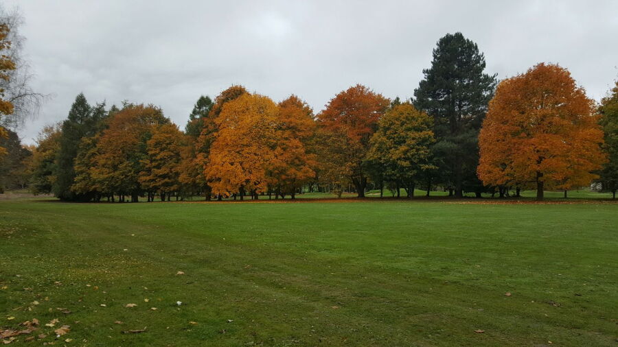 Bury St Edmunds GC