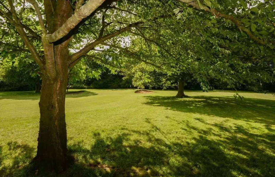 Letchworth Par-3 Family Golf Centre
