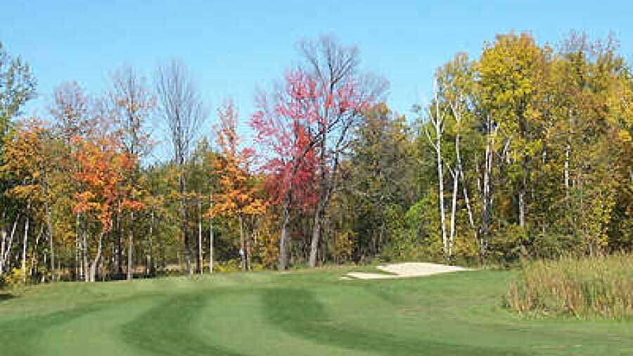 Bulrush GC: #8
