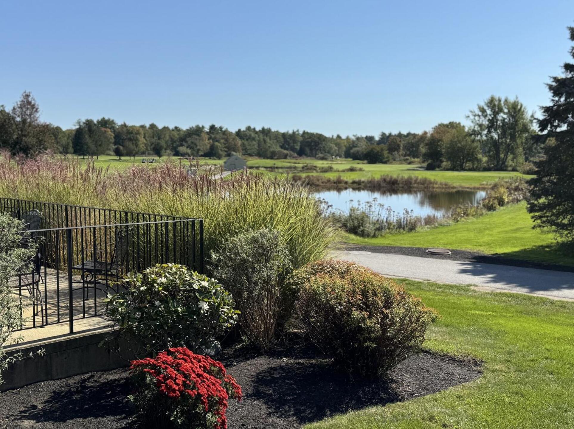 (Photo submitted by BqKUWhT5RYv8xYXpL04f on 10/11/2025)