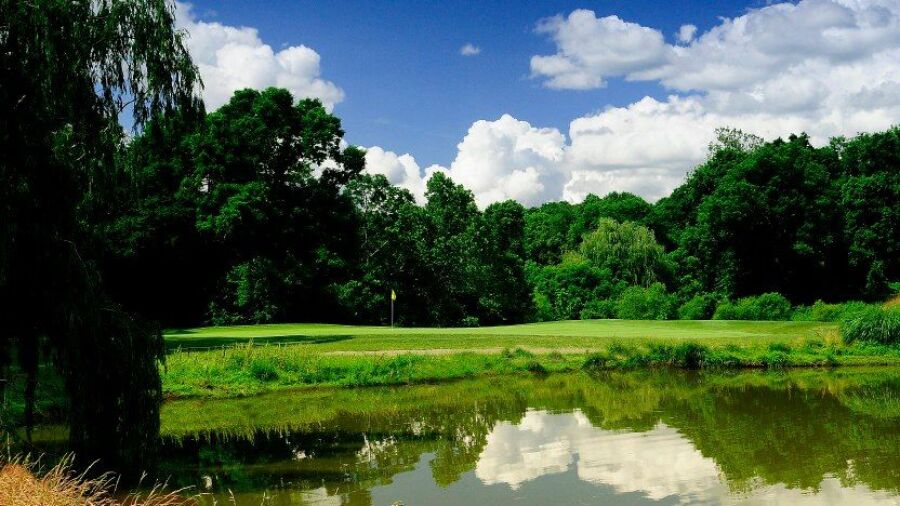 Delcastle GC: #8