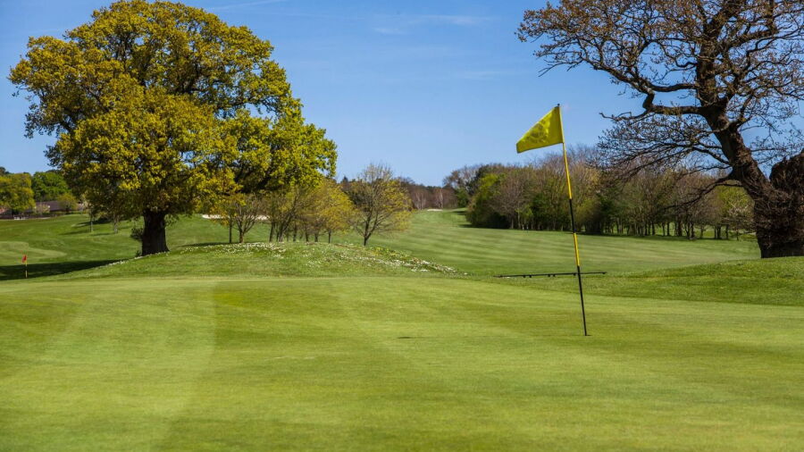 Dudsbury GC: #8