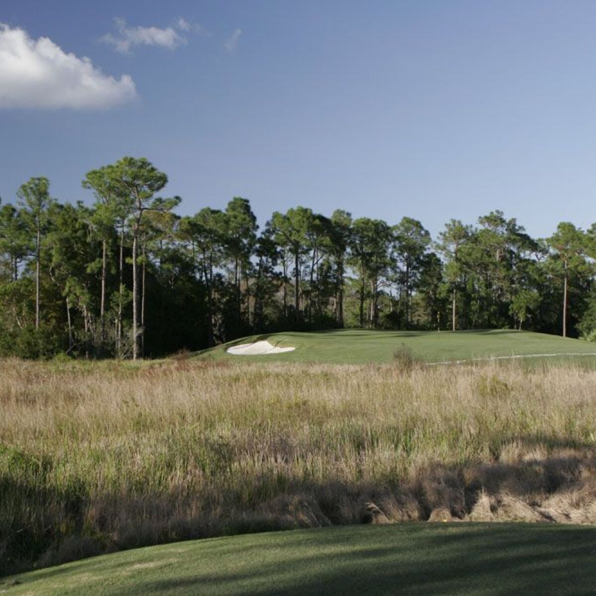 Sandhill Crane Golf Course in Palm Beach Gardens, Florida, USA GolfPass