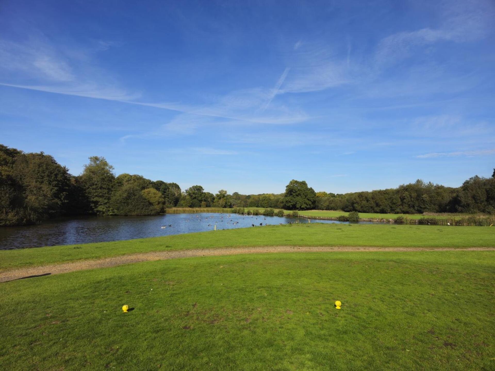 (Photo submitted by pad69 on 10/18/2023)