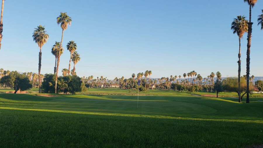 Mesquite GCC