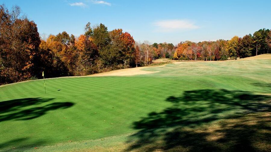 FarmLinks at Pursell Farms: #16