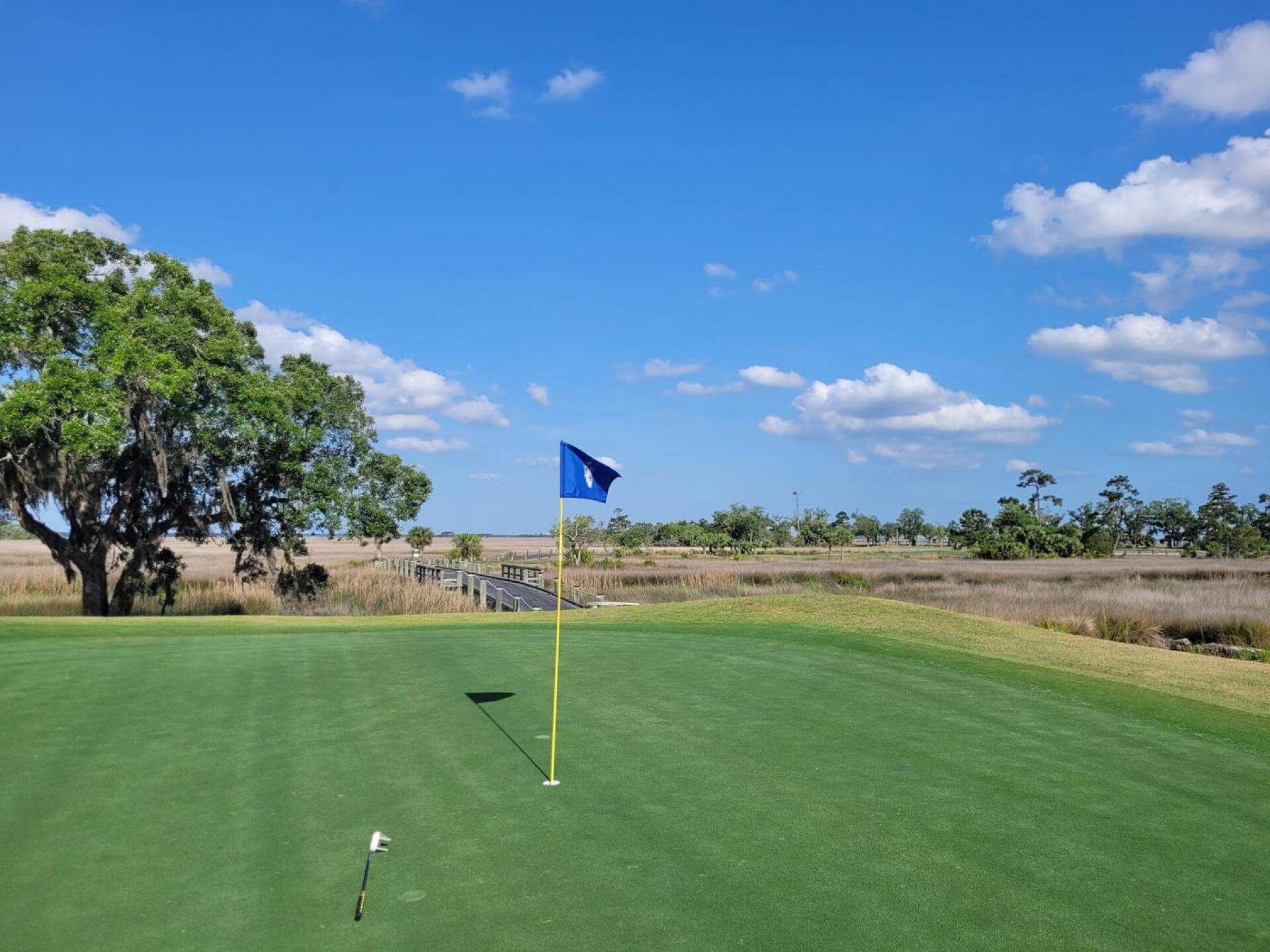 (Photo submitted by tiburonazo on 04/29/2022)