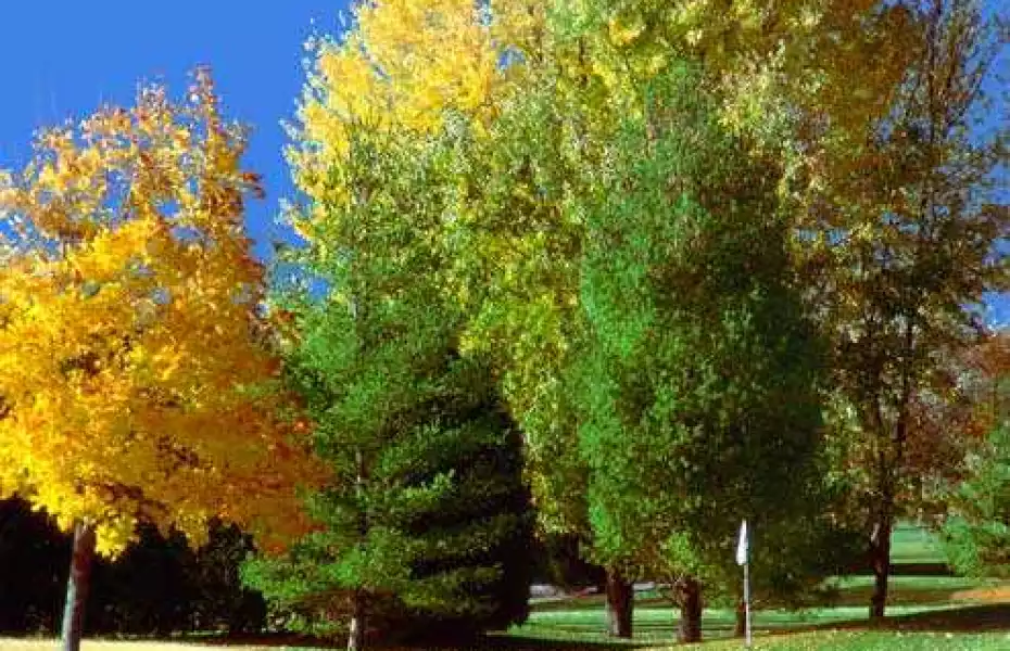 River Club Of Mequon