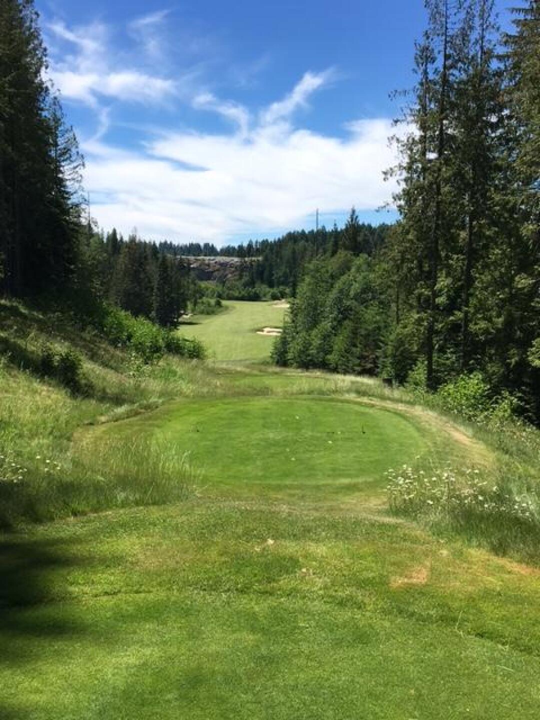 #5 (Photo submitted by gsbarry on 06/30/2017)