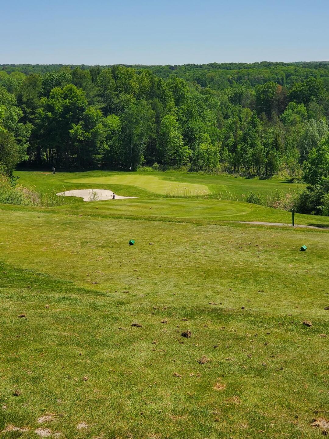 (Photo submitted by howardkhru on 05/30/2021)