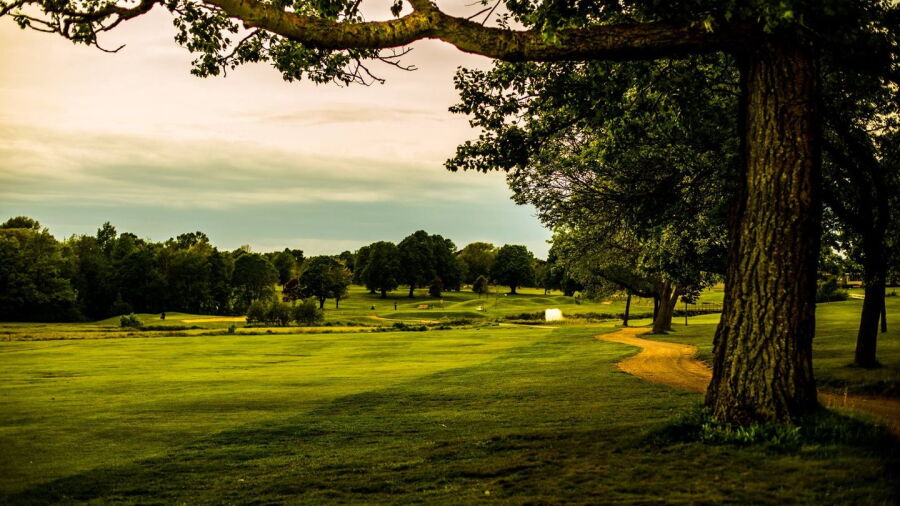Belvedere GC: #6