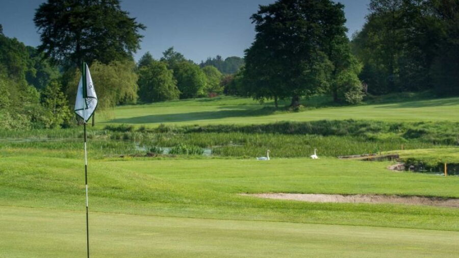 Rathsallagh GC: #8