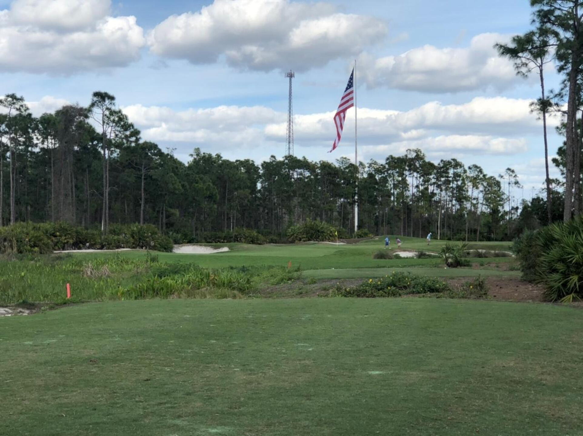 Par 3 (Photo submitted by RDGgolf on 02/28/2020)