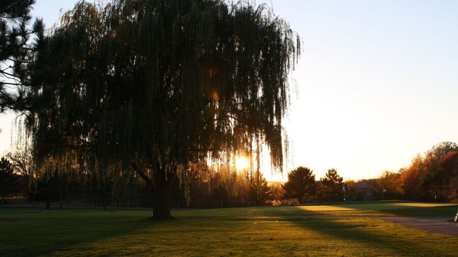 Glen Hills GC