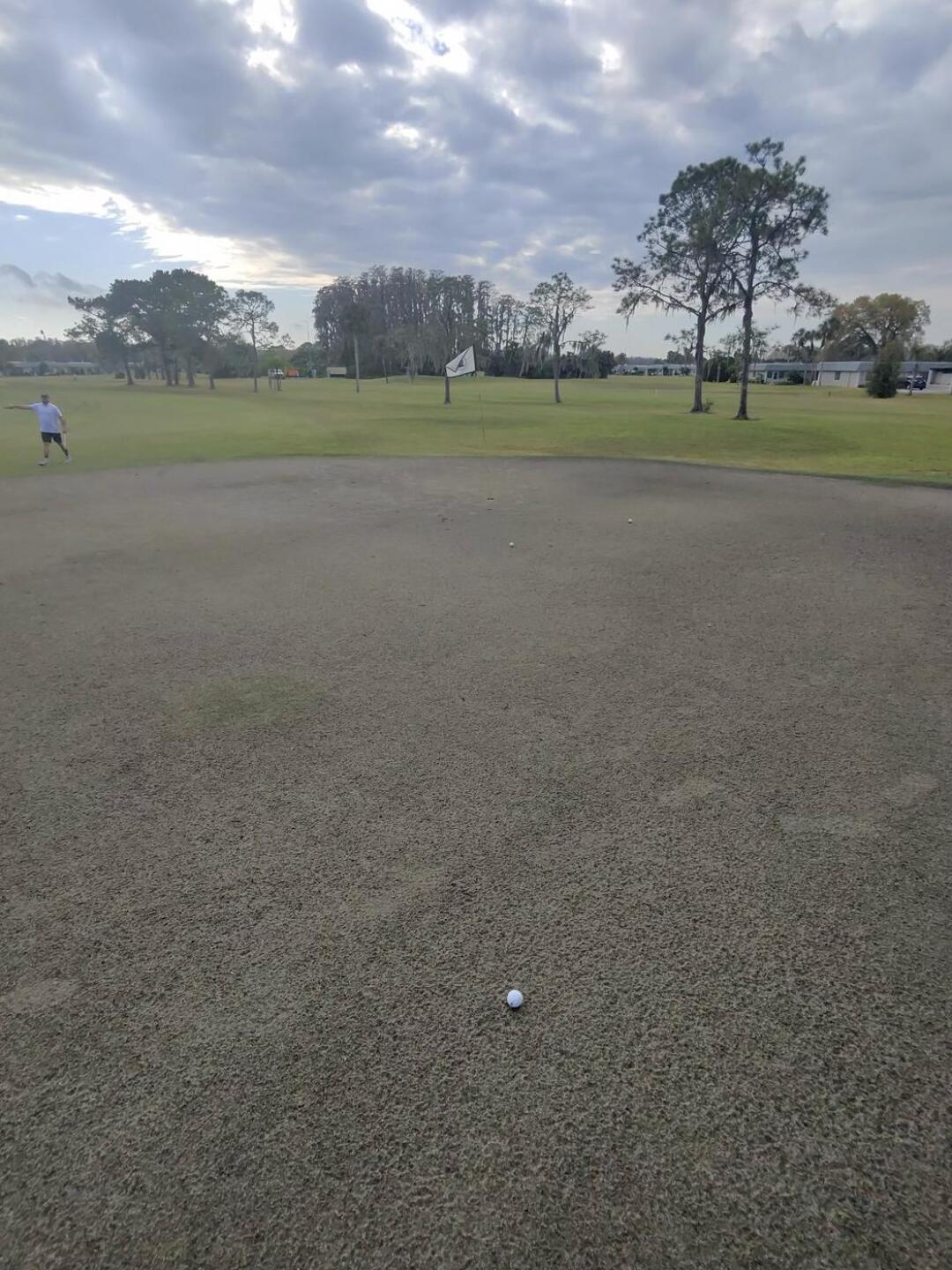 (Photo submitted by ftlise1 on 02/25/2024)