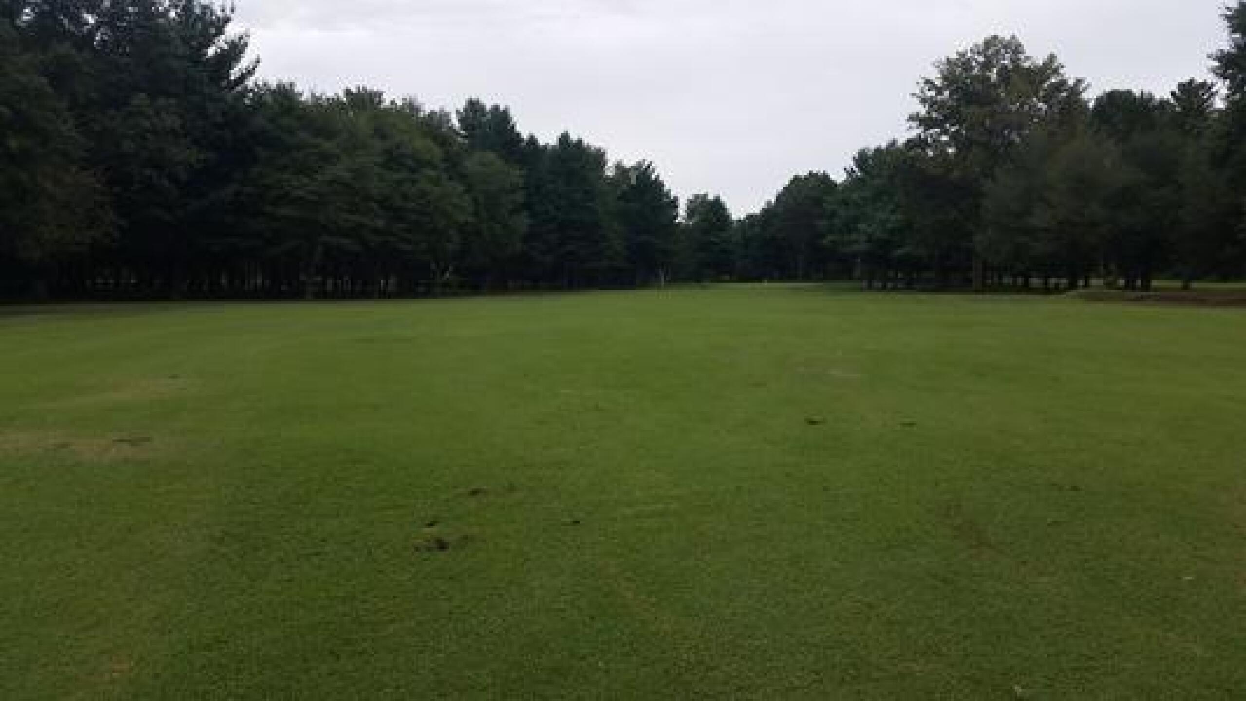 (Photo submitted by nmcnair on 09/08/2014)