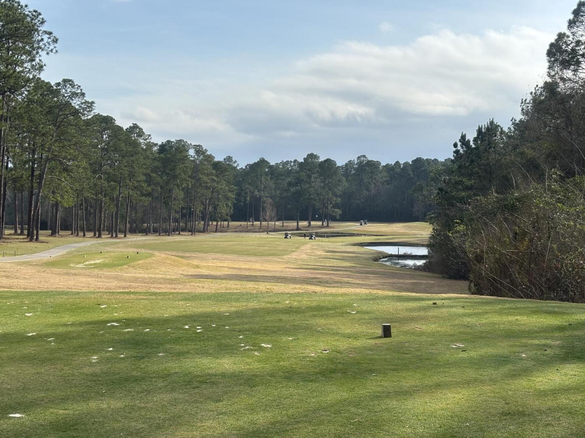 (Photo submitted by brainresearch22 on 01/24/2026)