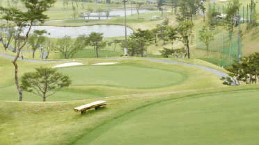 Gold Green GC