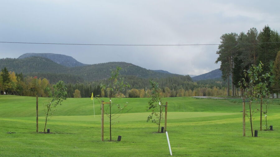 Namsos GC: #9