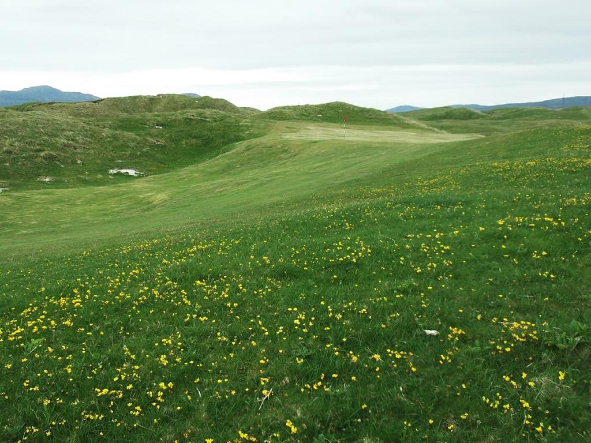 (Photo submitted by Amitbajaj on 10/11/2020)