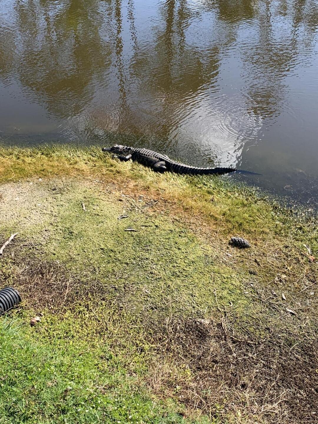 (Photo submitted by u000001592607 on 02/21/2023)