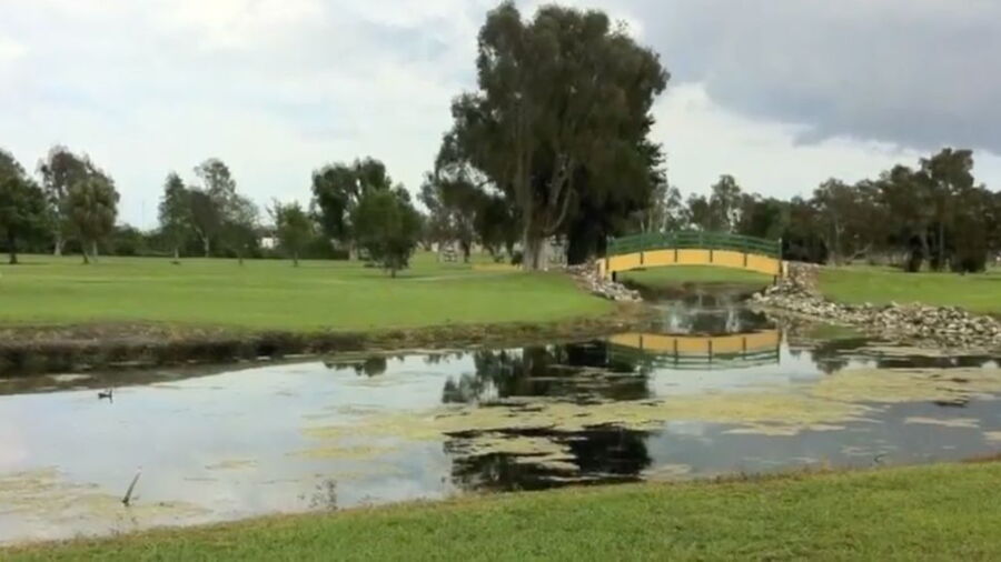 Orangebrook CC