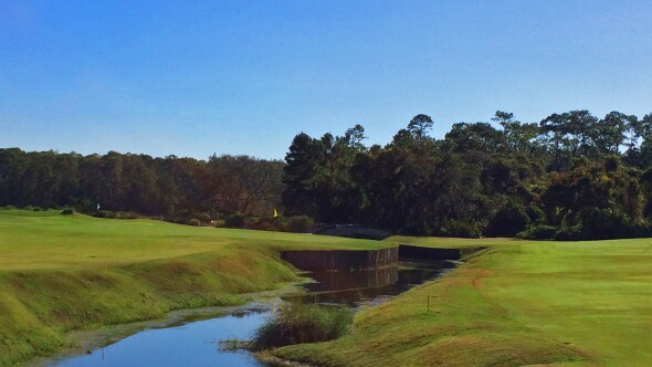 Grand Cypress New Course - no. 17