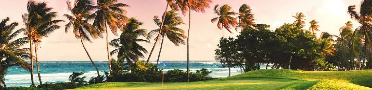 Tobago Plantations Beach & Golf Resort - Plantations