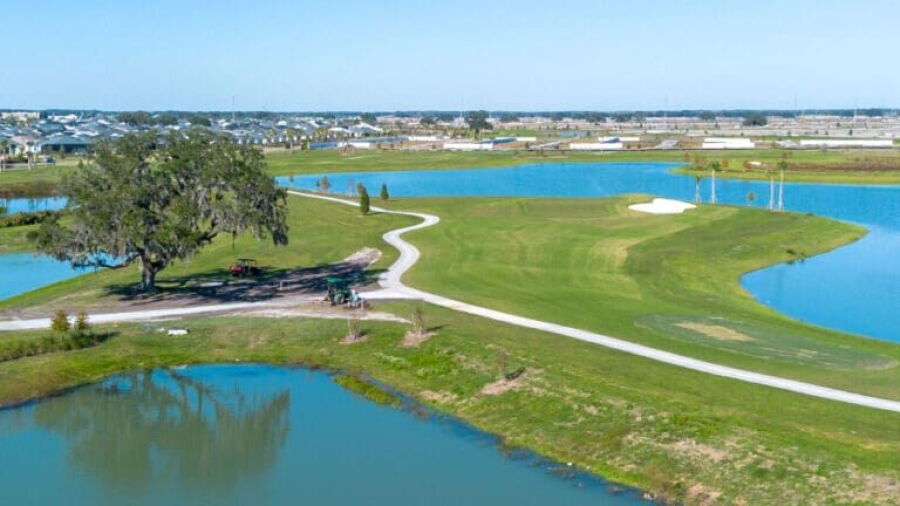 Beautyberry at The Villages Executive Golf Trail