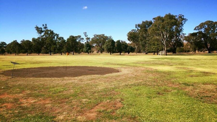Dunedoo GC