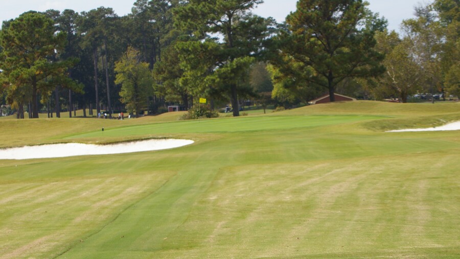 Honey Bee Golf Club - hole 2