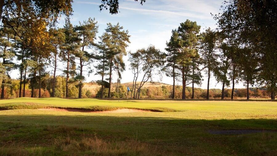 Sherwood Forest GC: #16
