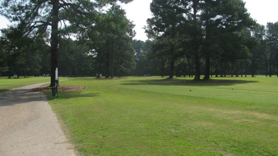Pine Burr GC