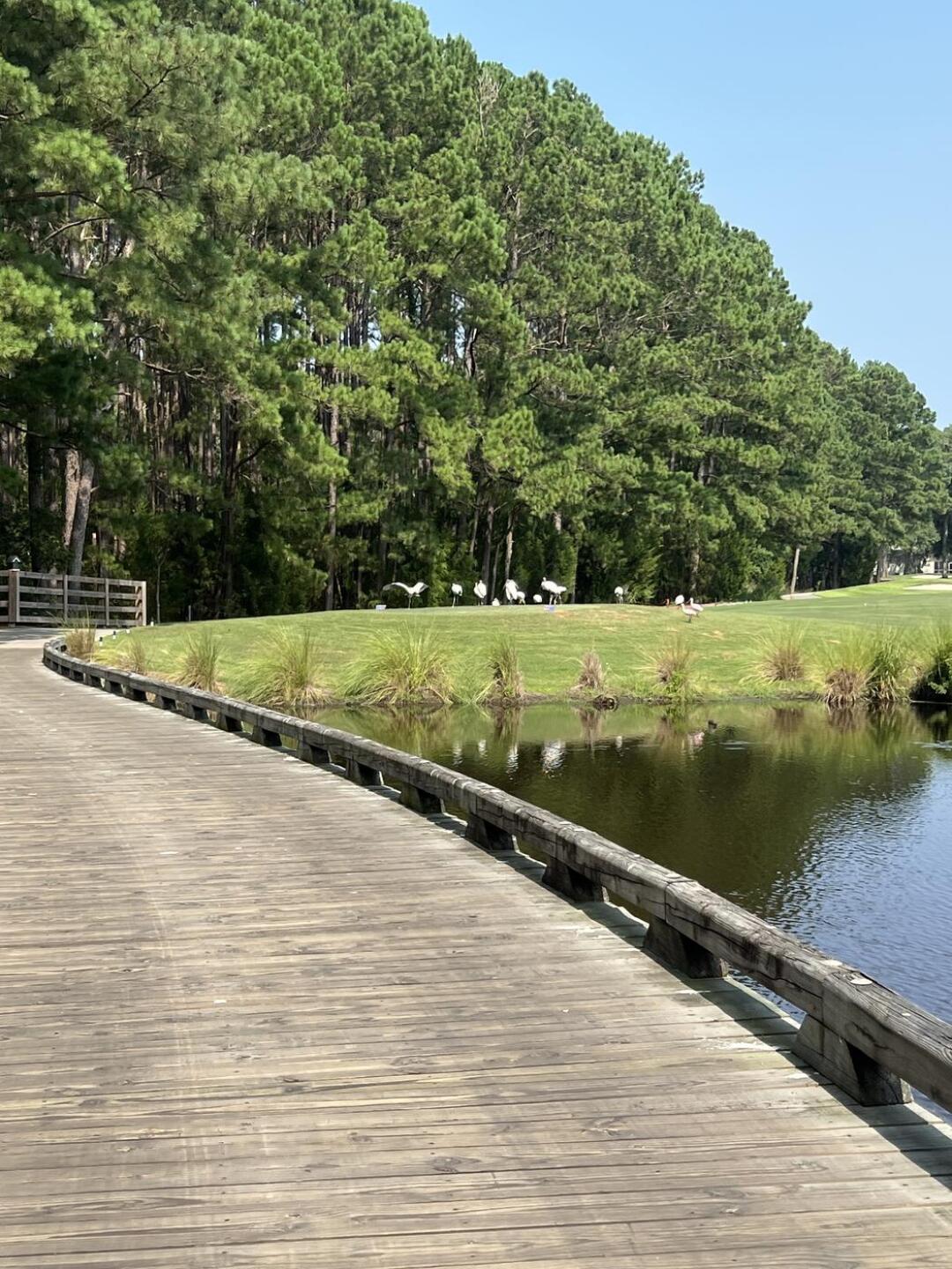 (Photo submitted by OE4Ii9p9lvCxye0i68Ok on 09/11/2023)