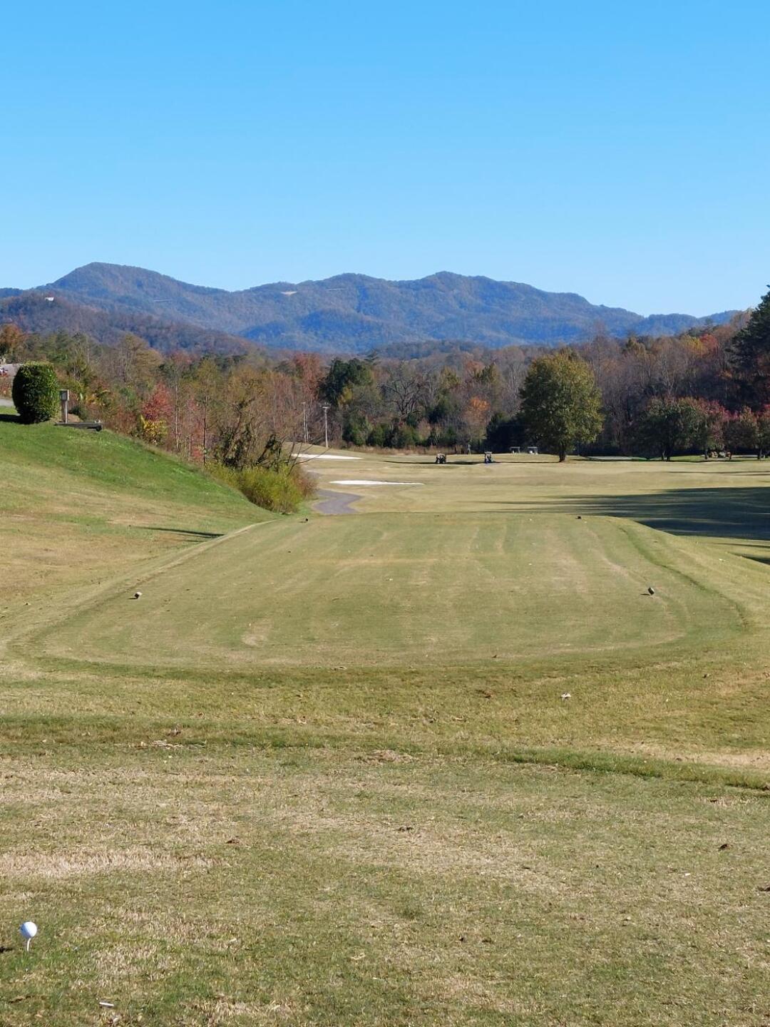 (Photo submitted by upXpnOAI4awBzJHS0tnL on 11/08/2021)