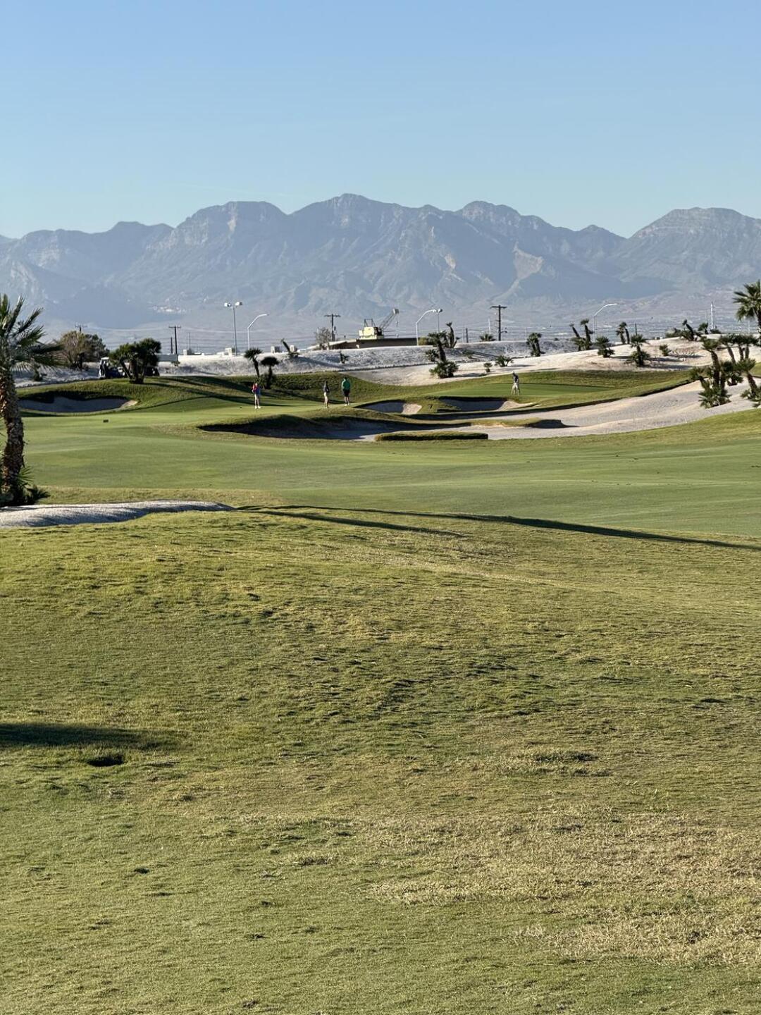 (Photo submitted by Scrooge1223 on 11/11/2025)