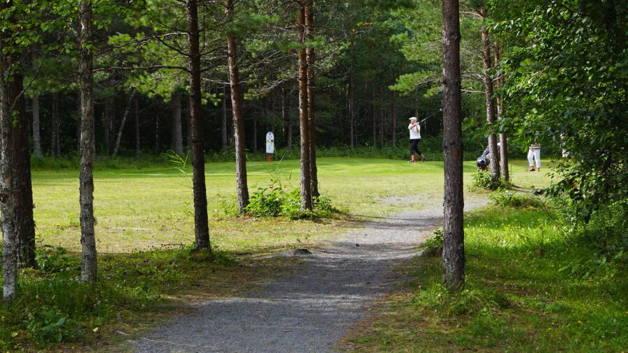 Svanskogens Golf: #2