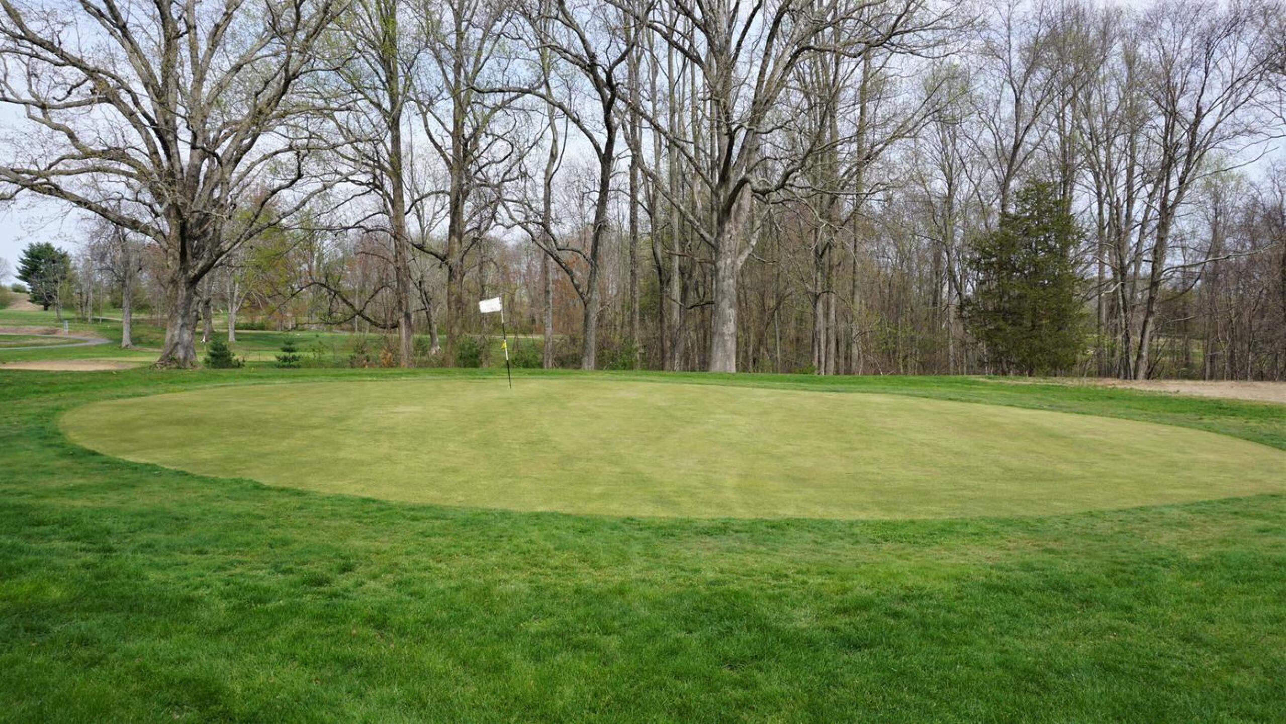 Eight. Conclusion to another good par-three on the front side. Seen from its left flank. (Photo submitted by AptlyLinked on 04/28/2021)