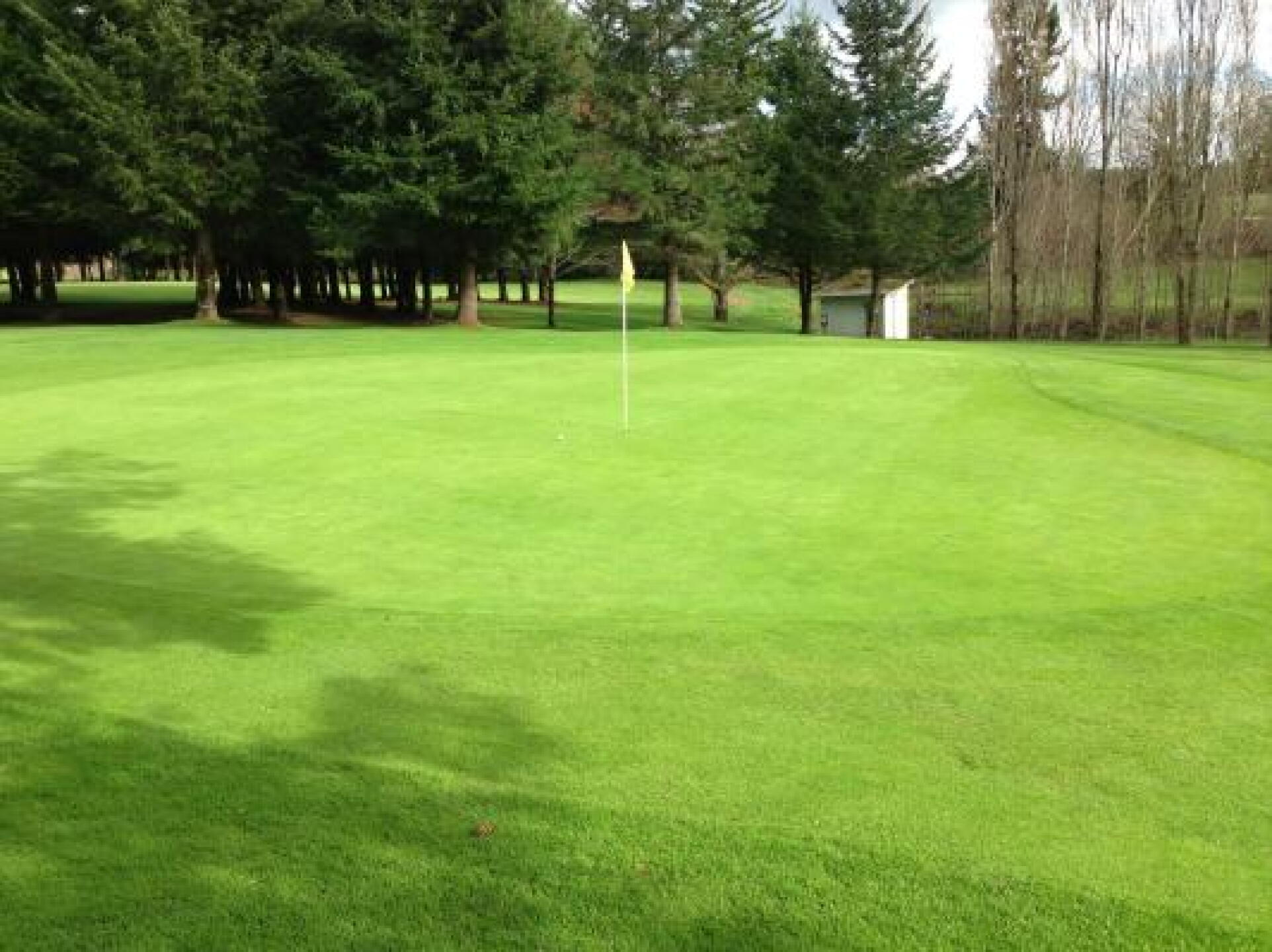 Left side of #5 green. Teasing my friends that weren't out playing (Photo submitted by Tony7511 on 04/02/2013)