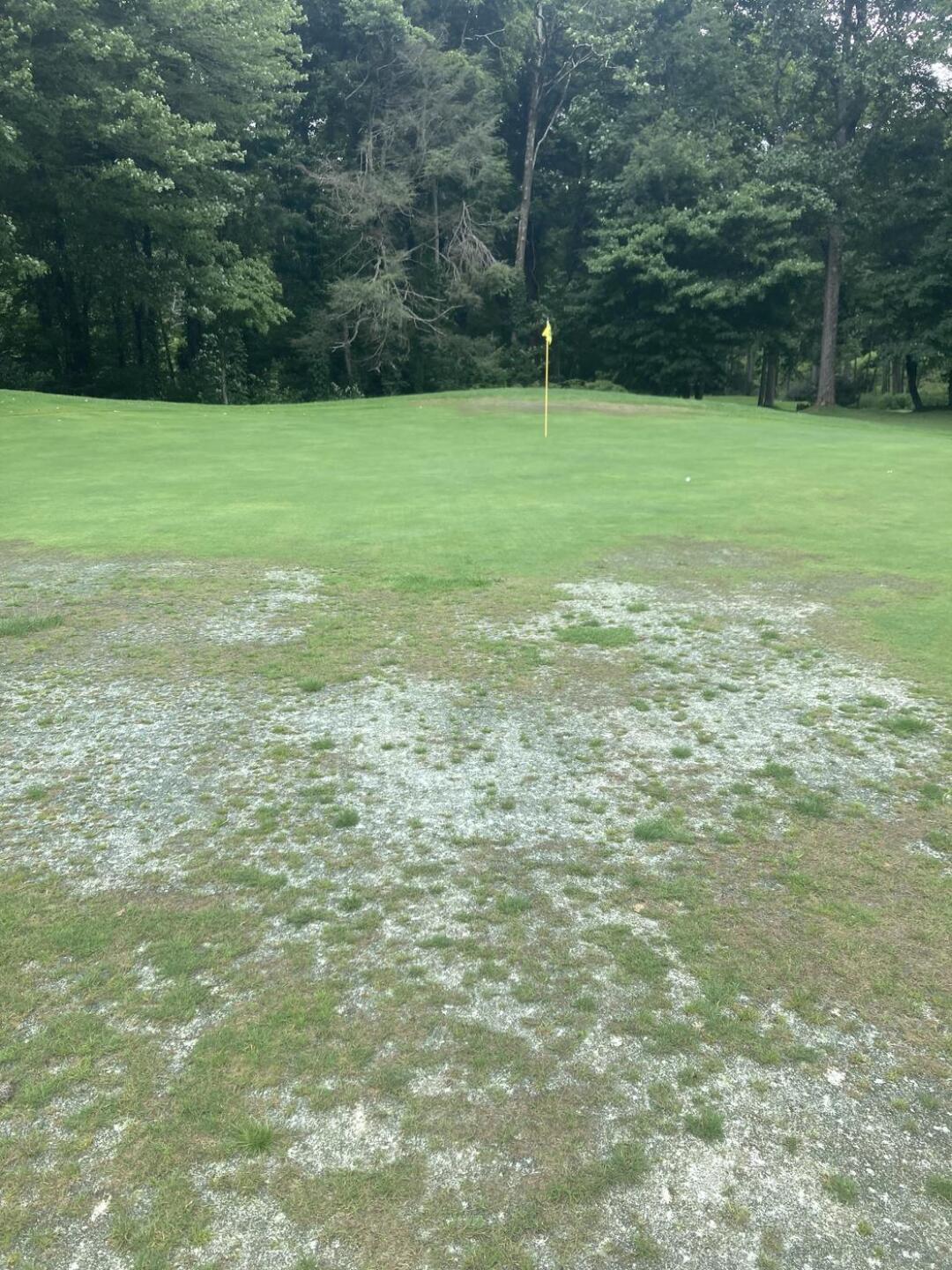 (Photo submitted by u00000583774 on 07/27/2024)