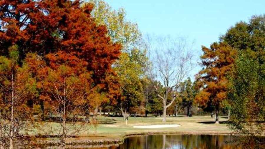 Windyke CC