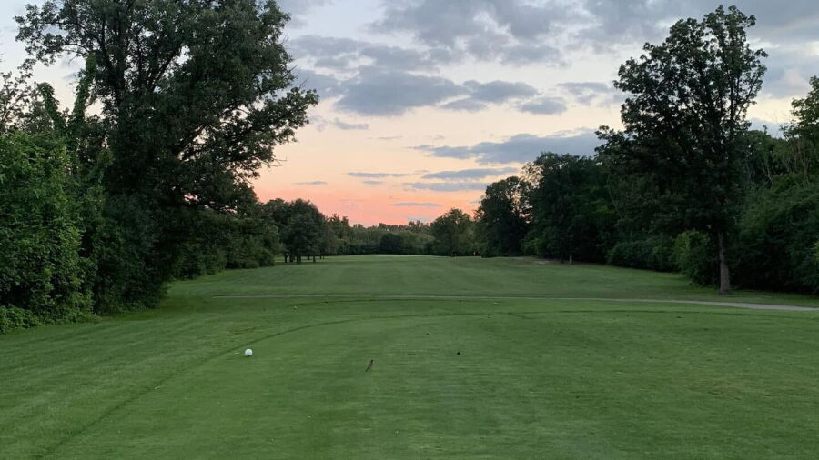 Meadowlark GC: #3