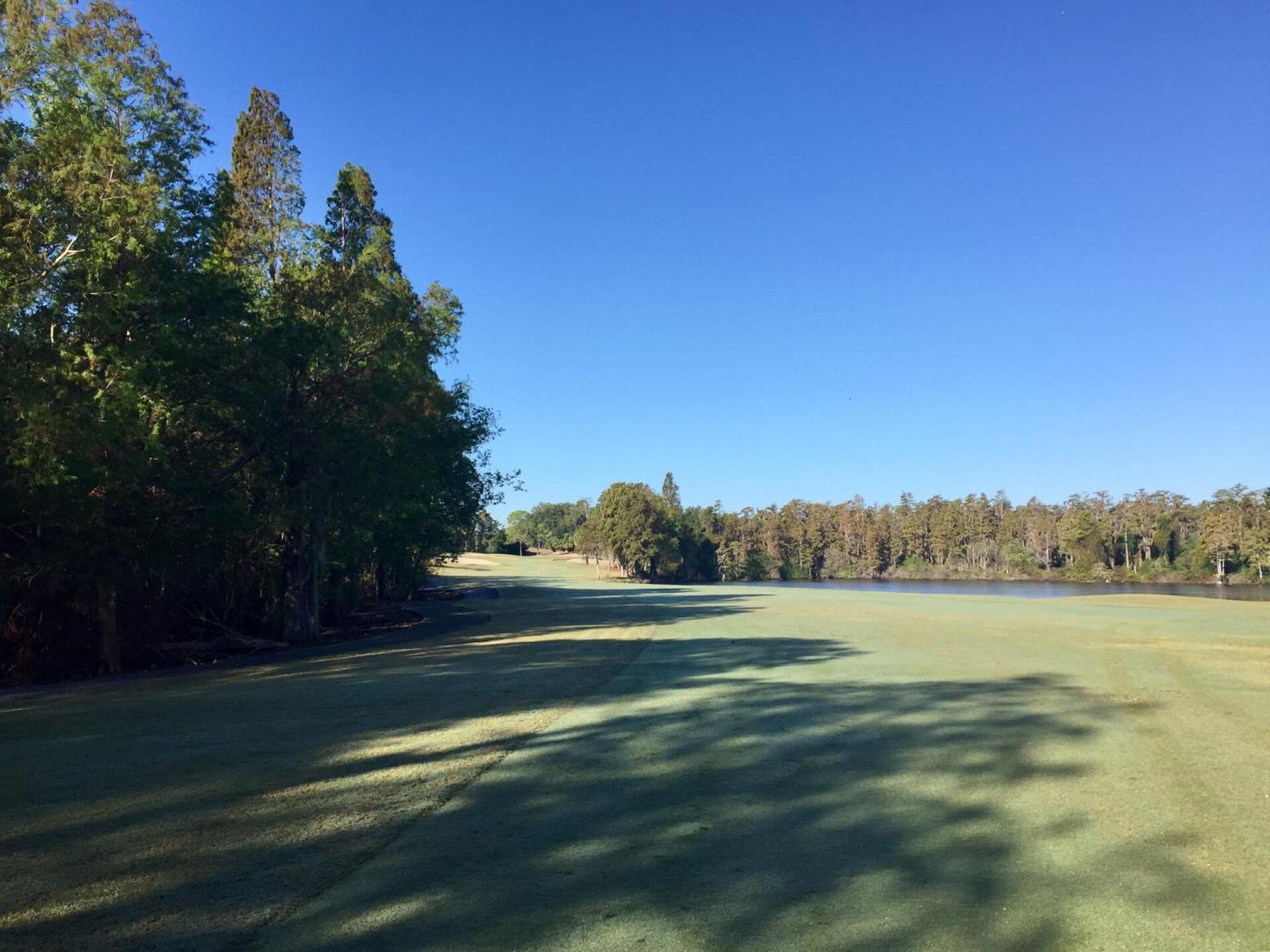 You'll need to hug the trees at Innisbrook's Island's par-5 7th in order to get a clear look at the green. (Photo submitted by TimGavrichGP on 12/20/2017)