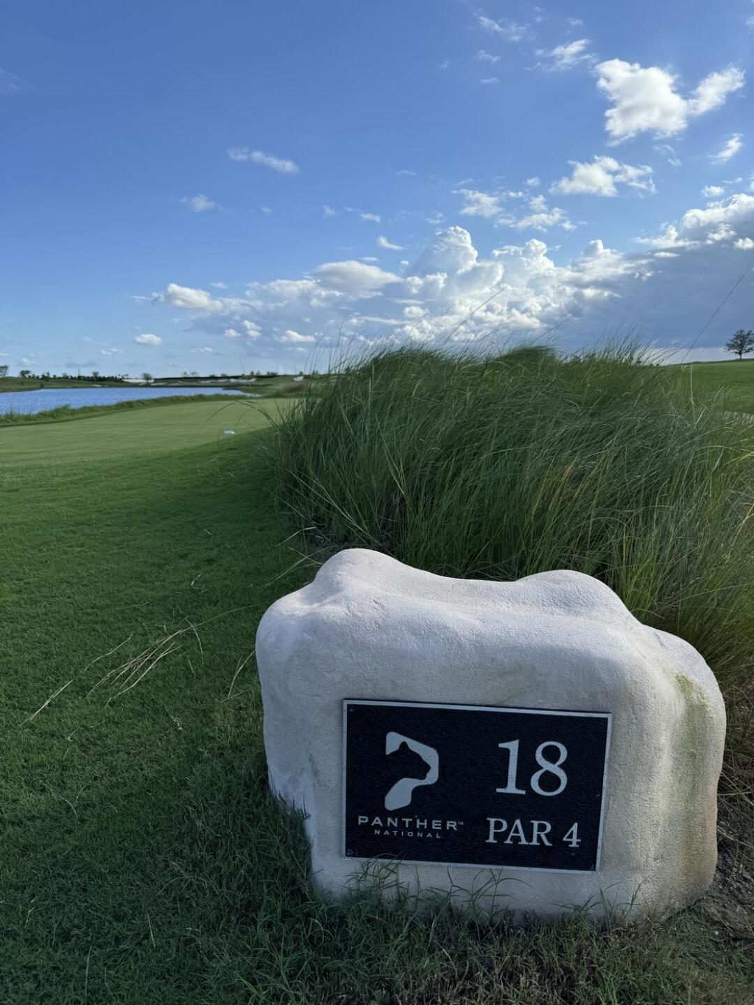 (Photo submitted by kRB3THGviXdZZXowtZ6Y on 10/23/2024)