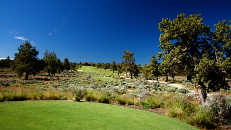 Nicklaus Course at Pronghorn Golf Club - No. 5