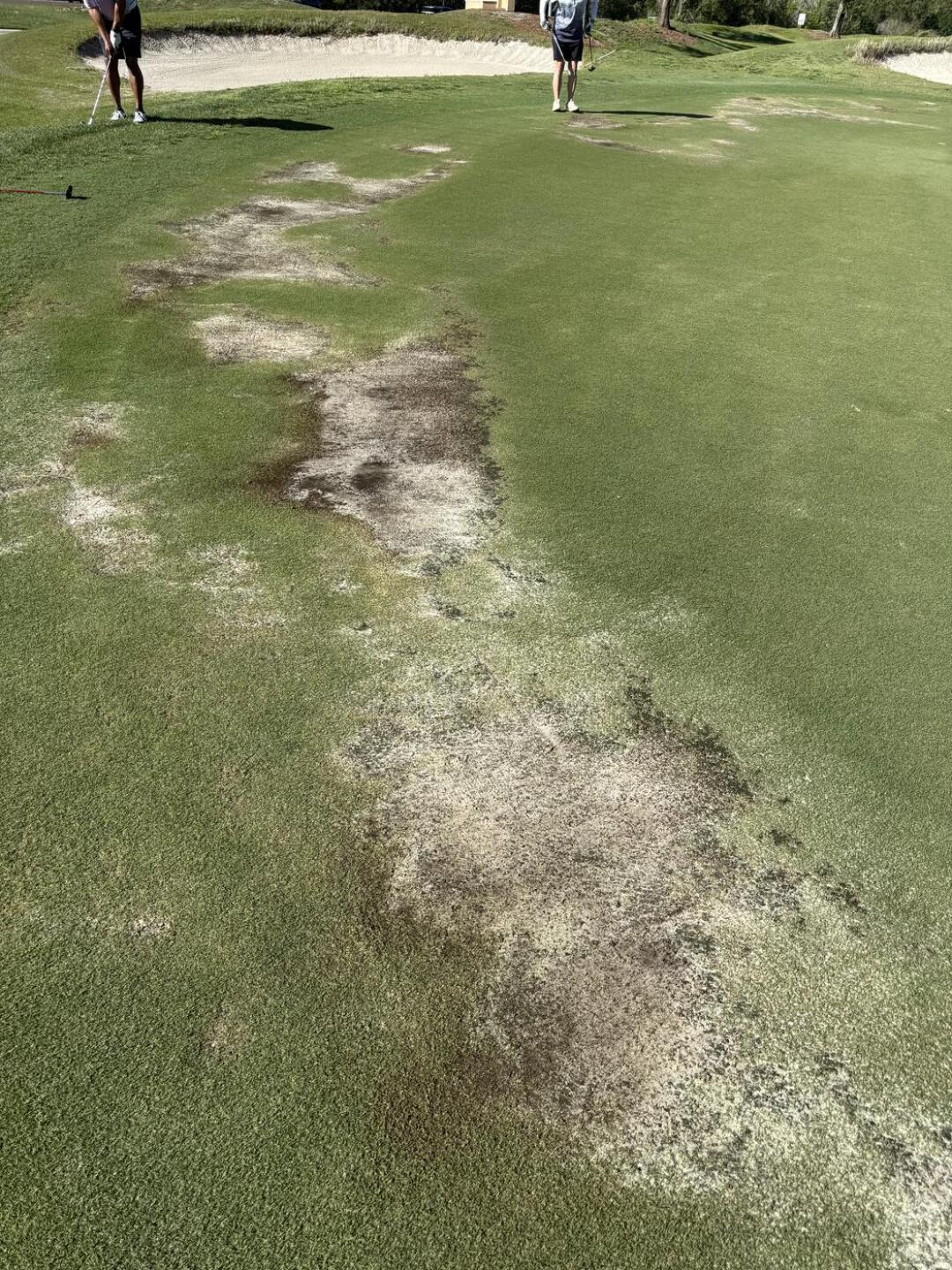 (Photo submitted by shavegolf on 04/04/2026)